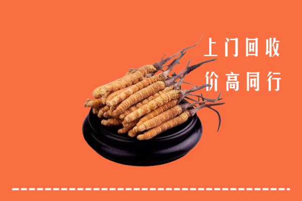 附近收购：汶川县冬虫夏草回收多少钱每克